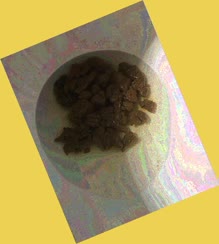 thumbnail of 8JglXNMVjKPs0Amq.jpg