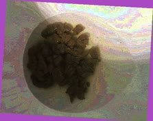 thumbnail of Hp3qRo9Koz832c.jpg
