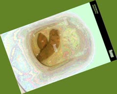 thumbnail of H6kLdfblmfhrfDx.jpg