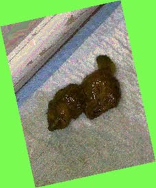 thumbnail of XBEIhDEjLBQ2fMjk0r.jpg