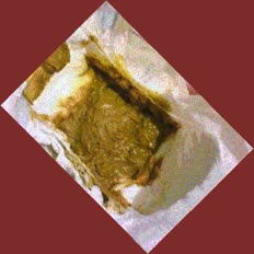 thumbnail of bsdFvb1.jpg