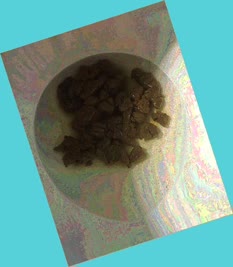 thumbnail of KiuZiyQN5u26njMSguk.jpg