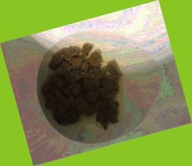 thumbnail of Yikz0dFbwgrcK.jpg