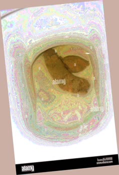 thumbnail of Z5N9p99glA.jpg