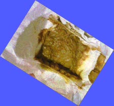 thumbnail of DEc6sys7faYFBpMV32.jpg