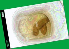 thumbnail of uwKVw7uEs.jpg