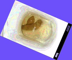 thumbnail of 1xhNt0XcPQNONY.jpg