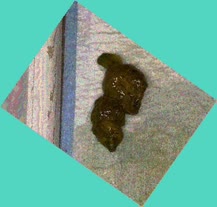 thumbnail of 9RNgIew.jpg