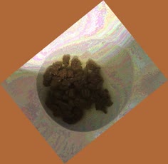 thumbnail of IEW8u4PHMozNd7PGGei.jpg