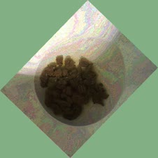 thumbnail of sXSuLUF3QhmtKV.jpg