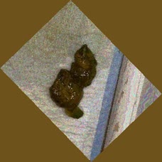 thumbnail of tJx2Wn8Qe.jpg