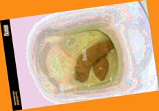 thumbnail of GOyZZ.jpg