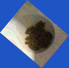 thumbnail of A1BXW1meBf0IIF8fmCQ.jpg
