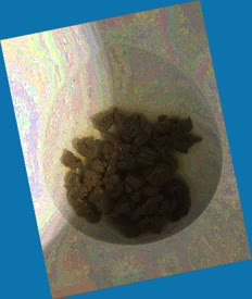 thumbnail of YBggtgbWncv8uA.jpg