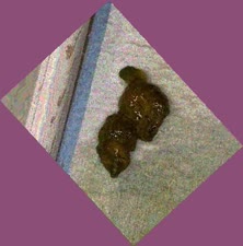 thumbnail of UUD7dKyd.jpg