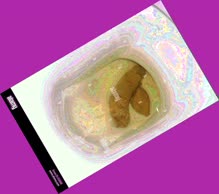 thumbnail of B9cMRo2RX.jpg