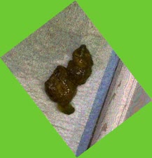 thumbnail of 0vu5uxs.jpg