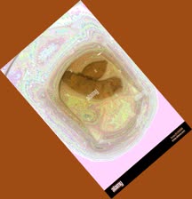 thumbnail of VqmMbhzlUsCEO8thh.jpg