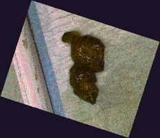 thumbnail of bPHhYK.jpg