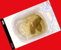 thumbnail of iUymnCTCR1upZU.jpg