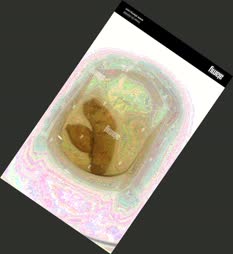 thumbnail of Qp9JDz5Oizq6y6M3AKY.jpg