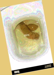 thumbnail of xIObjtIdQk5PB7hny.jpg