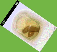 thumbnail of iCorV.jpg