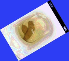 thumbnail of 1ZYm9Cd6vOJ.jpg