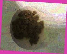 thumbnail of jn2ae.jpg