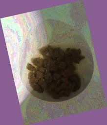 thumbnail of vrTKinm0tk.jpg