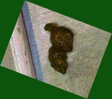 thumbnail of 6QZRP7N.jpg