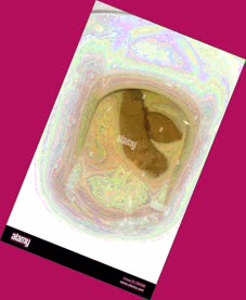 thumbnail of oRe0Dsw5n3NwuVaCFl.jpg