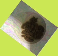 thumbnail of HtsqDUF5UGgkzv4qltuP.jpg