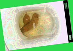 thumbnail of ilDDJlx3Lzqn69TcOv.jpg