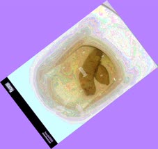 thumbnail of 5fsutMni5L5.jpg