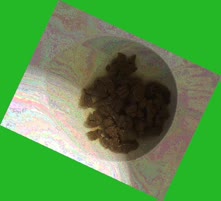 thumbnail of qcVKqctuUFfDnHkv.jpg