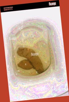 thumbnail of kD3ILimIr.jpg