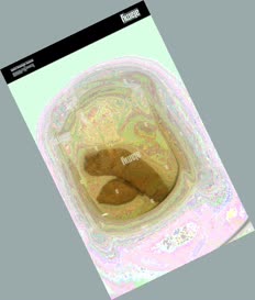 thumbnail of iVtawvPA.jpg