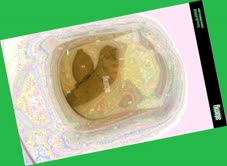 thumbnail of 8SbUk3.jpg