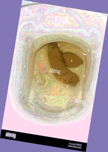 thumbnail of bUe9R.jpg