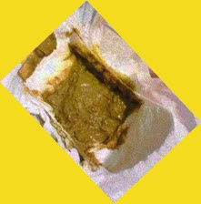thumbnail of clH1XiXJlLXBU8pxgs9t.jpg