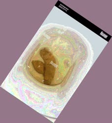 thumbnail of KB3aBY1JTEO9qql.jpg