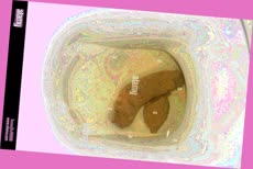 thumbnail of Jz27jhtCP7fda.jpg