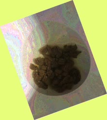 thumbnail of l4Kz7u3iFk.jpg