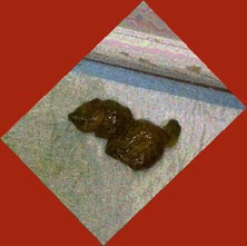 thumbnail of EKkmhWm3d00i7BYPz.jpg
