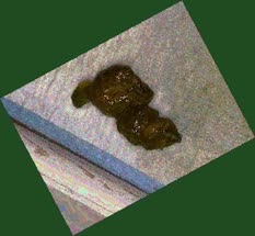 thumbnail of nO0bS3VjpFWvPJd3YrG.jpg