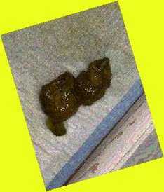 thumbnail of DjdPhogrXesMkaR5.jpg