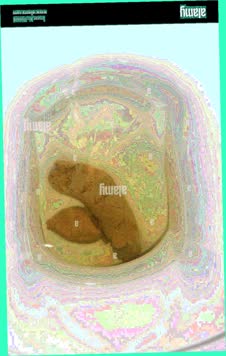 thumbnail of RsKnYneeTtkgJ26ev.jpg