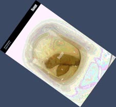 thumbnail of bcYWW1dAg.jpg