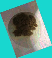 thumbnail of R0laeQTS66emlentr.jpg